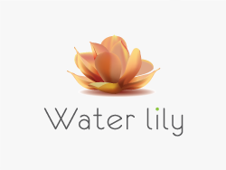 l33-Expert-soft-solution